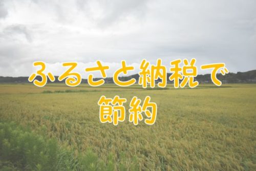 ふるさと納税の返礼品で節約しよう！独身におススメの返礼品もまとめてみた